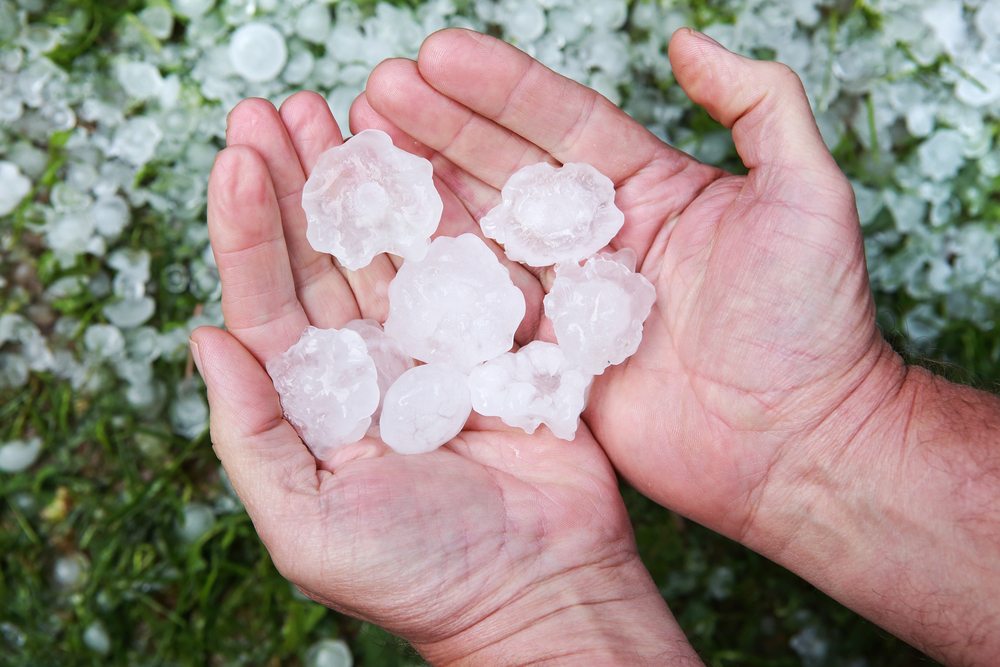 How to prevent insurance rate spikes due to hail damage